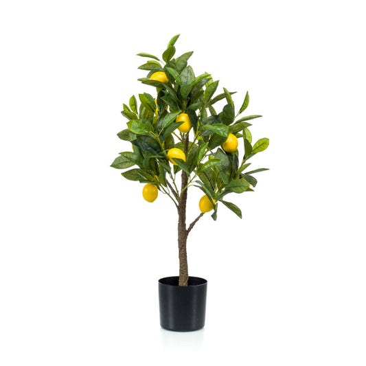 Citroenboom in plastic pot 72 cm - Onlinekunstplant - Vandaag besteld, morgen in huis