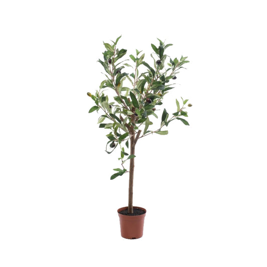 Kunst olijfboom 65 cm