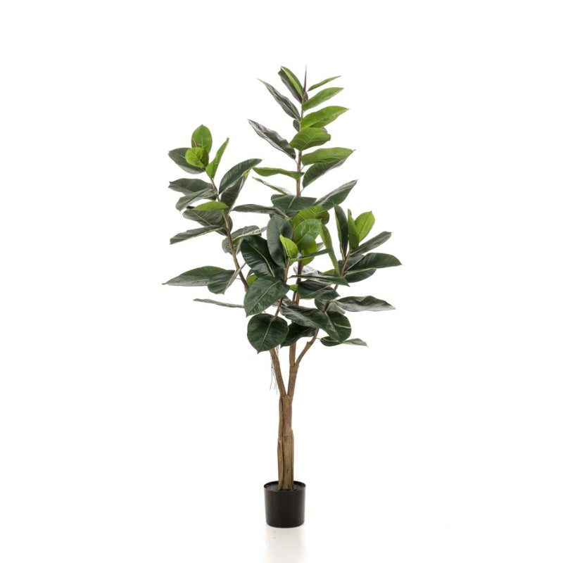Kunstplant Ficus Elastica boom 180 cm