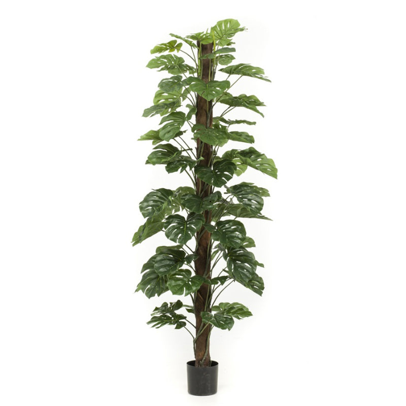Kunstplant Monstera op stam 210 cm