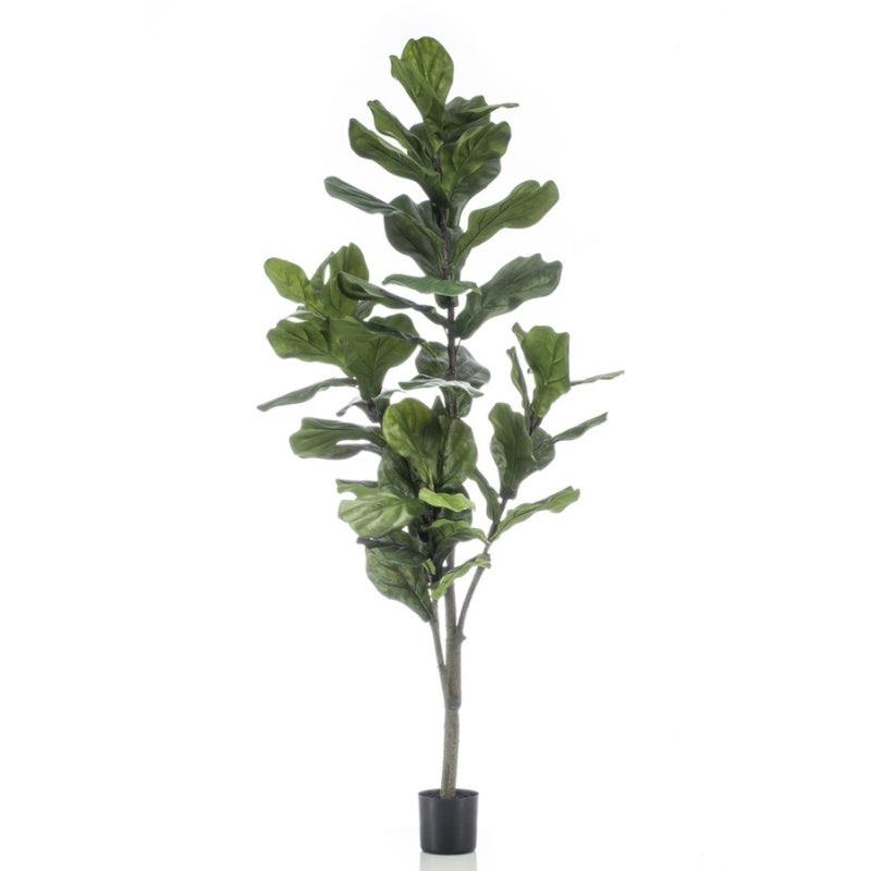 Kunstplant Ficus Lyrata 150 cm