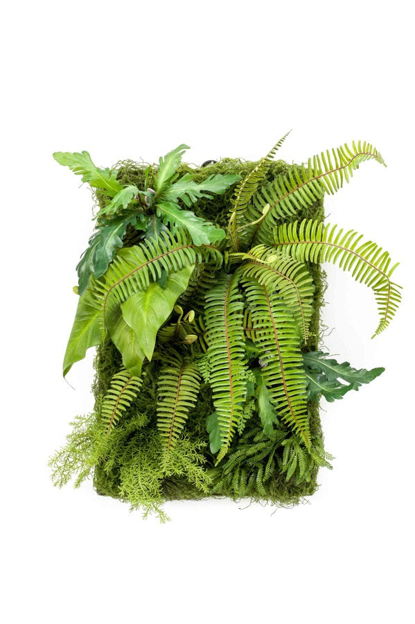 Living Wall 60x40 cm
