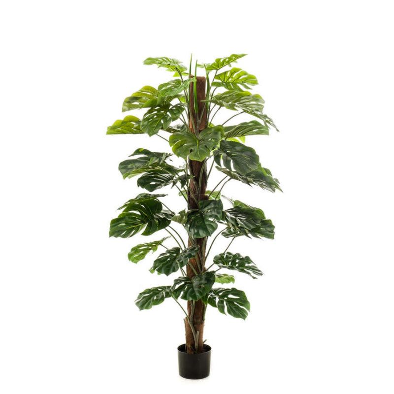 Kunstplant Monstera op stam 150 cm