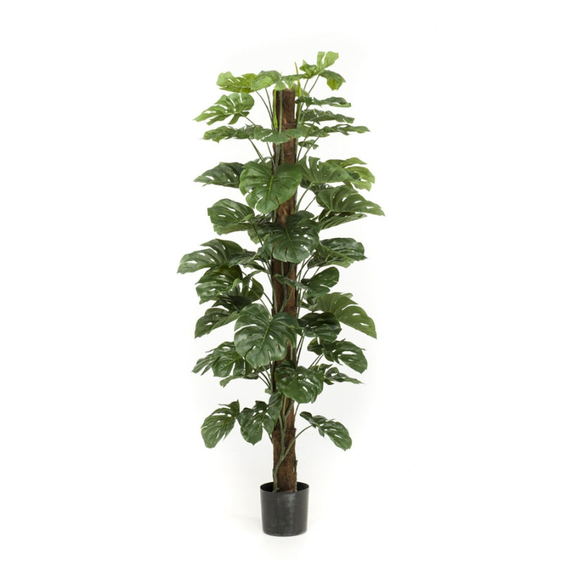 Kunstplant Monstera op stam 180 cm
