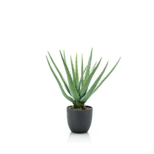 Aloevera in pot 35 cm - Onlinekunstplant - Vandaag besteld, morgen in huis