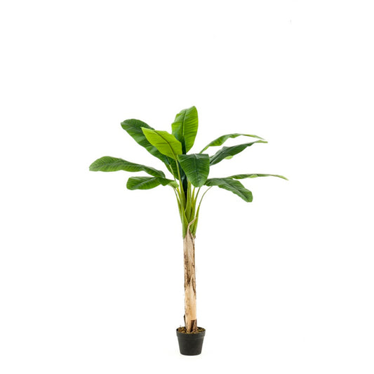 Bananenboom 150 cm - Onlinekunstplant - Vandaag besteld, morgen in huis