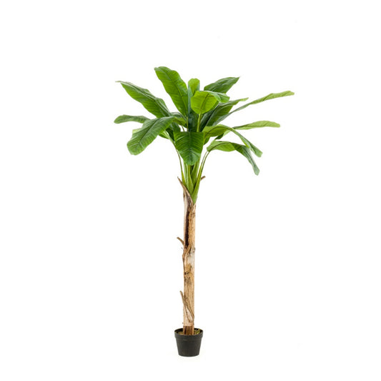 Bananenboom 180 cm - Onlinekunstplant - Vandaag besteld, morgen in huis
