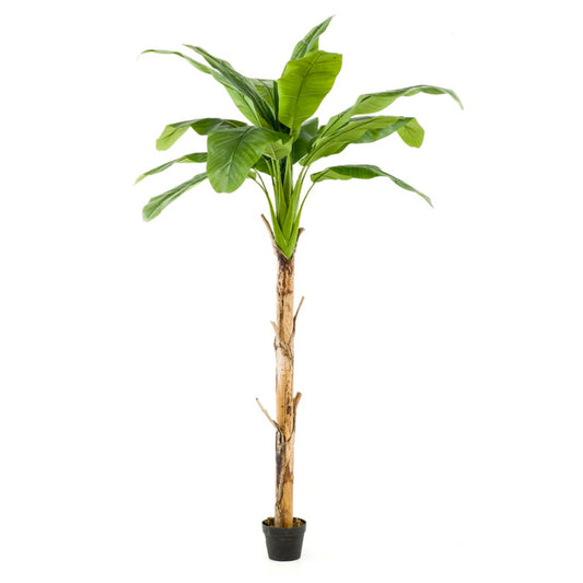 Bananenboom 210 cm - Onlinekunstplant - Vandaag besteld, morgen in huis