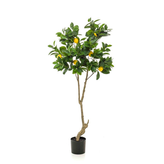 Citroenboom 150 cm - Onlinekunstplant - Vandaag besteld, morgen in huis