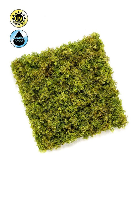 Iceland Moss mat UV 50x50 cm