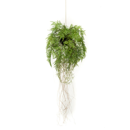 Plante artificielle suspendue Fougère 35 cm