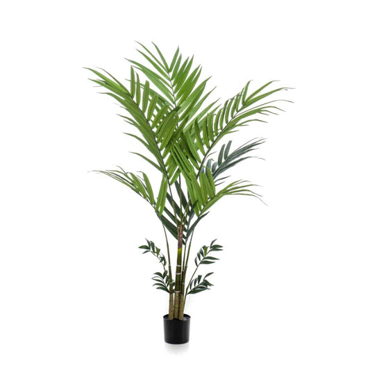 Palmier artificiel Kentia 180 cm