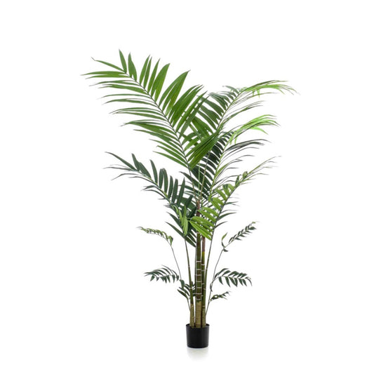 Palmier artificiel Kentia 210 cm