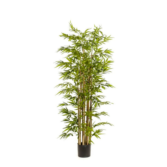 Kunstplant Bamboo Deluxe 175 cm