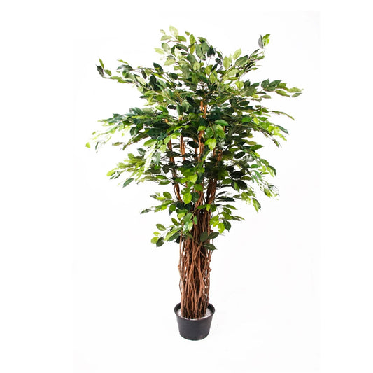 Plante artificielle Ficus Benjamina Liana Deluxe 175 cm