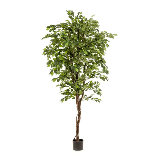 Kunstplant Ficus Deluxe Vine boom 200 cm