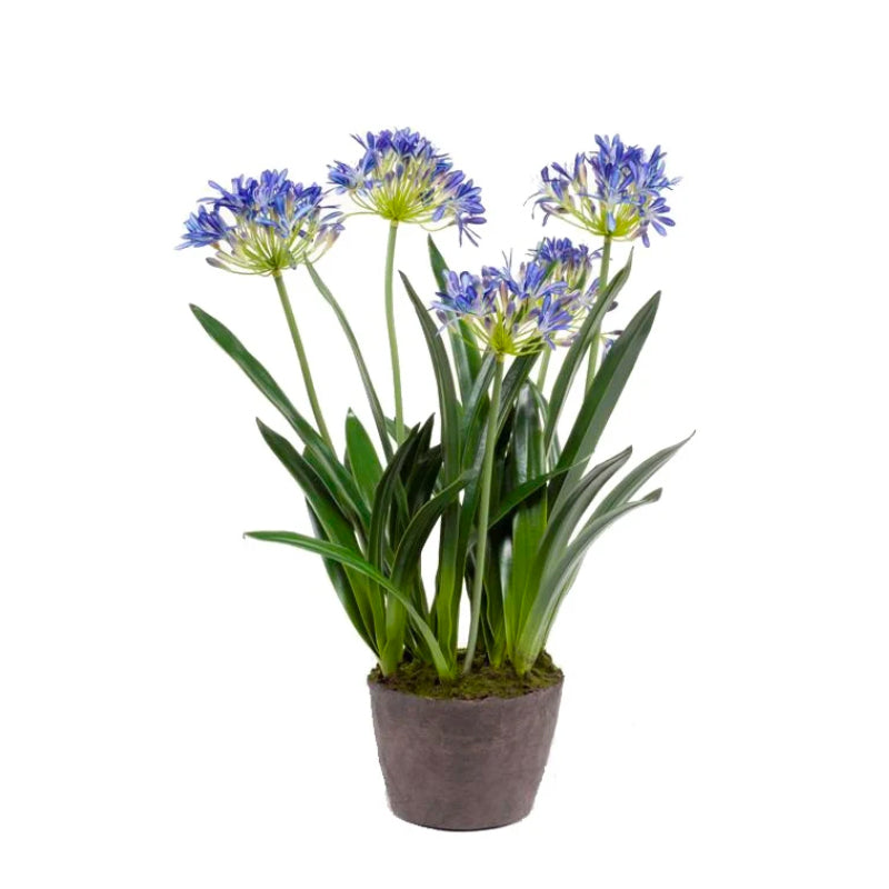 Plante artificielle Agapanthe bleue 75 cm