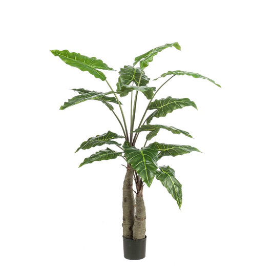 Plante artificielle Alocasia arbre 150 cm