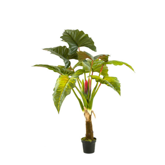 Kunstplant Colocasia boom 160 cm