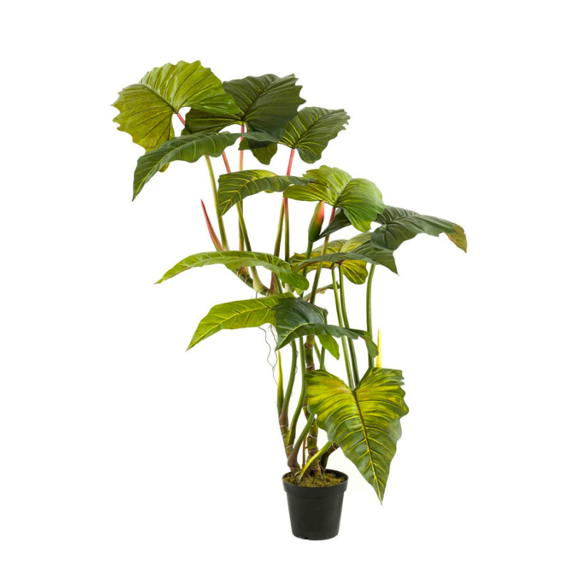 Plante artificielle Colocasia sur tige 175cm