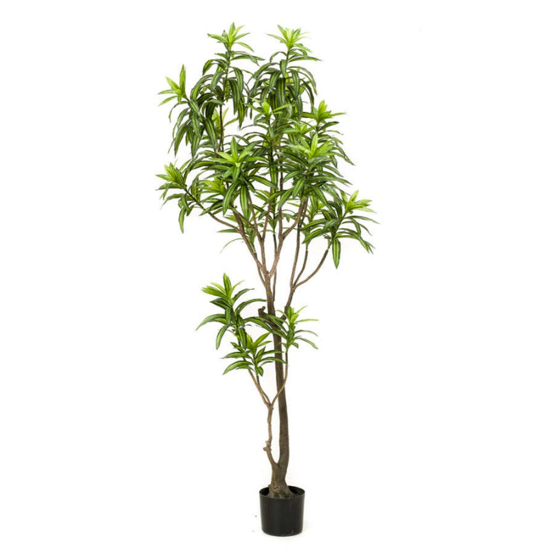 Kunstplant Dracaena boom 190 cm