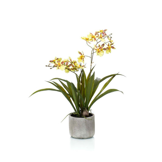 Kunstplant Oncidium geel/bruin 45 cm