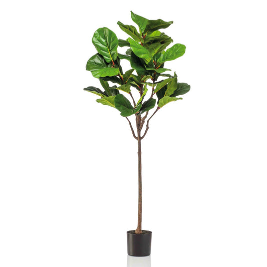 Kunstplant Ficus Lyrata 155 cm