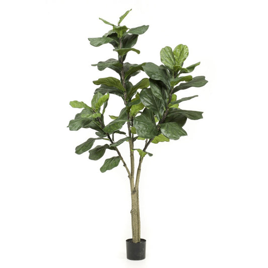Kunstplant Ficus Lyrata 180 cm