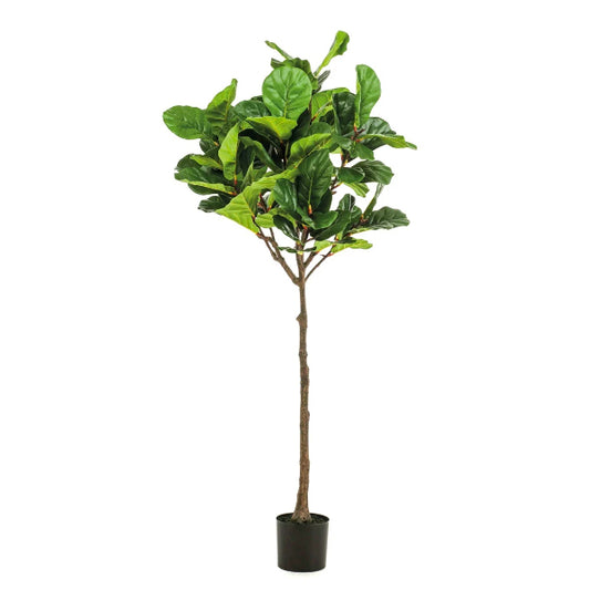 Kunstplant Ficus Lyrata 195 cm