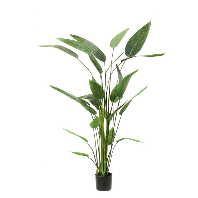 Plante artificielle Héliconia 175 cm