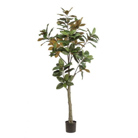 Kunstplant Magnolia Denudata boom 180 cm