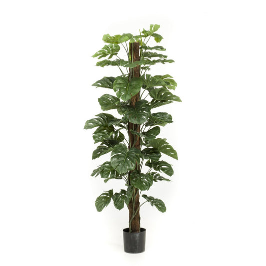 Plante artificielle Monstera sur tige 180 cm