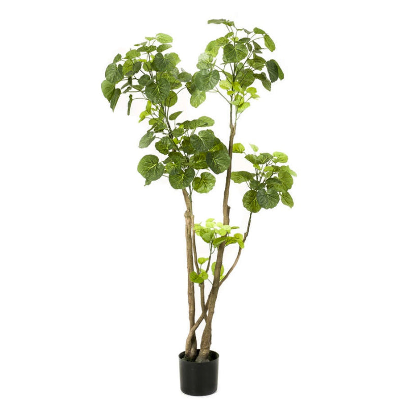 Plante artificielle arbre Polyscias 135 cm
