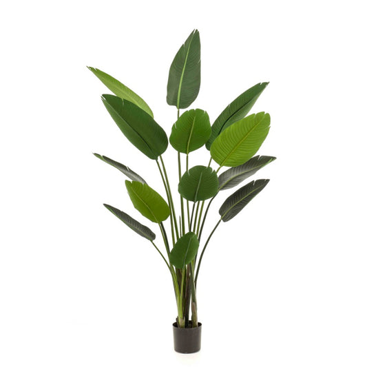 Plante artificielle Strelitzia 190 cm