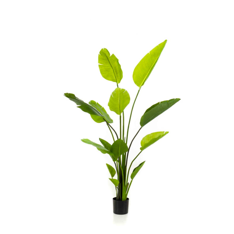 Plante artificielle Strelitzia Nicolai 150 cm