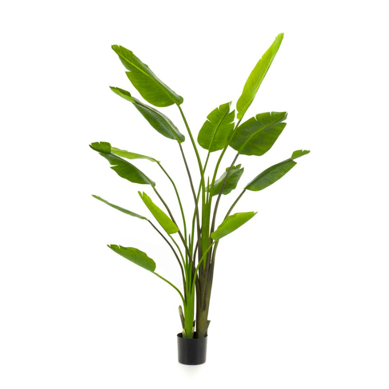 Plante artificielle Strelitzia Nicolai 180 cm