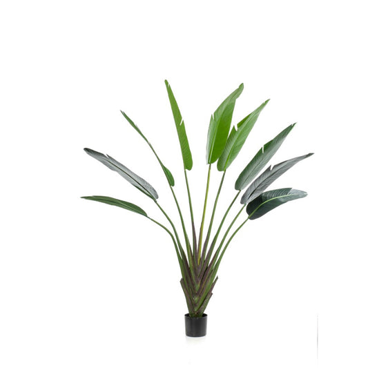 Kunstplant Strelitzia boom 180 cm